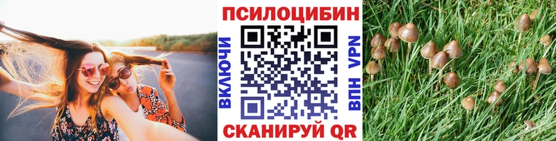 Купить где  Лянтор  Псилоцибиновые грибы прущие грибы 